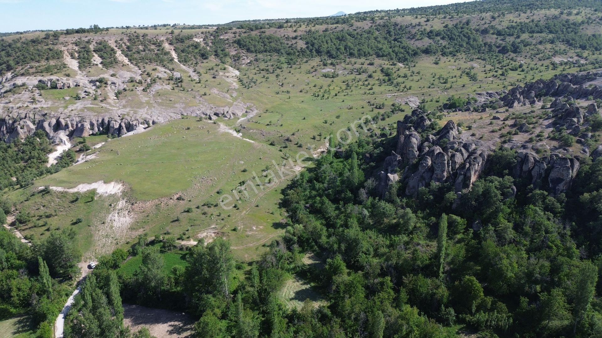 Meram Kilistra Da 207 M2 Müstakil Tapulu Bahçe - Görsel 3