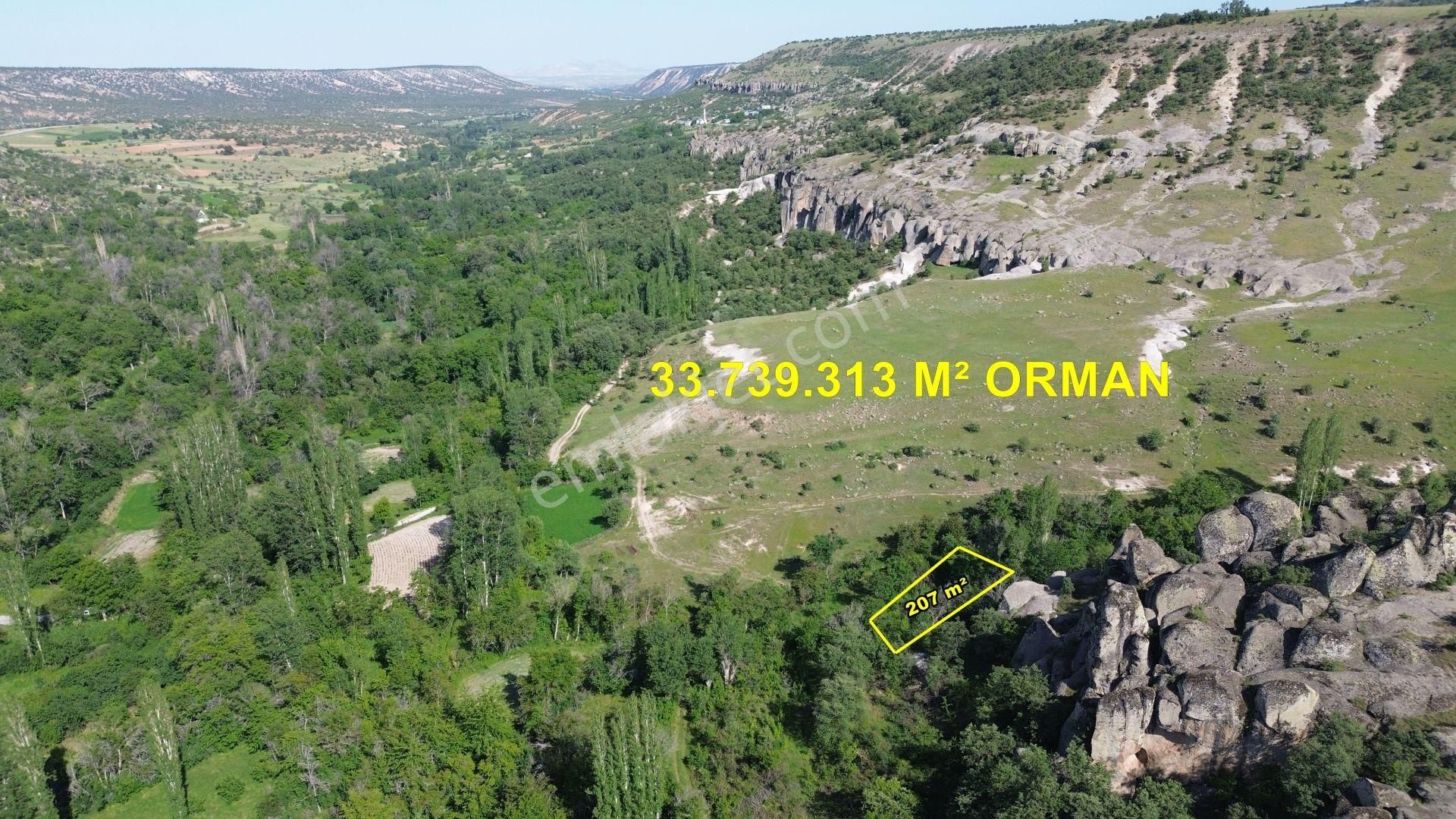 Meram Kilistra Da 207 M2 Müstakil Tapulu Bahçe - Görsel 5