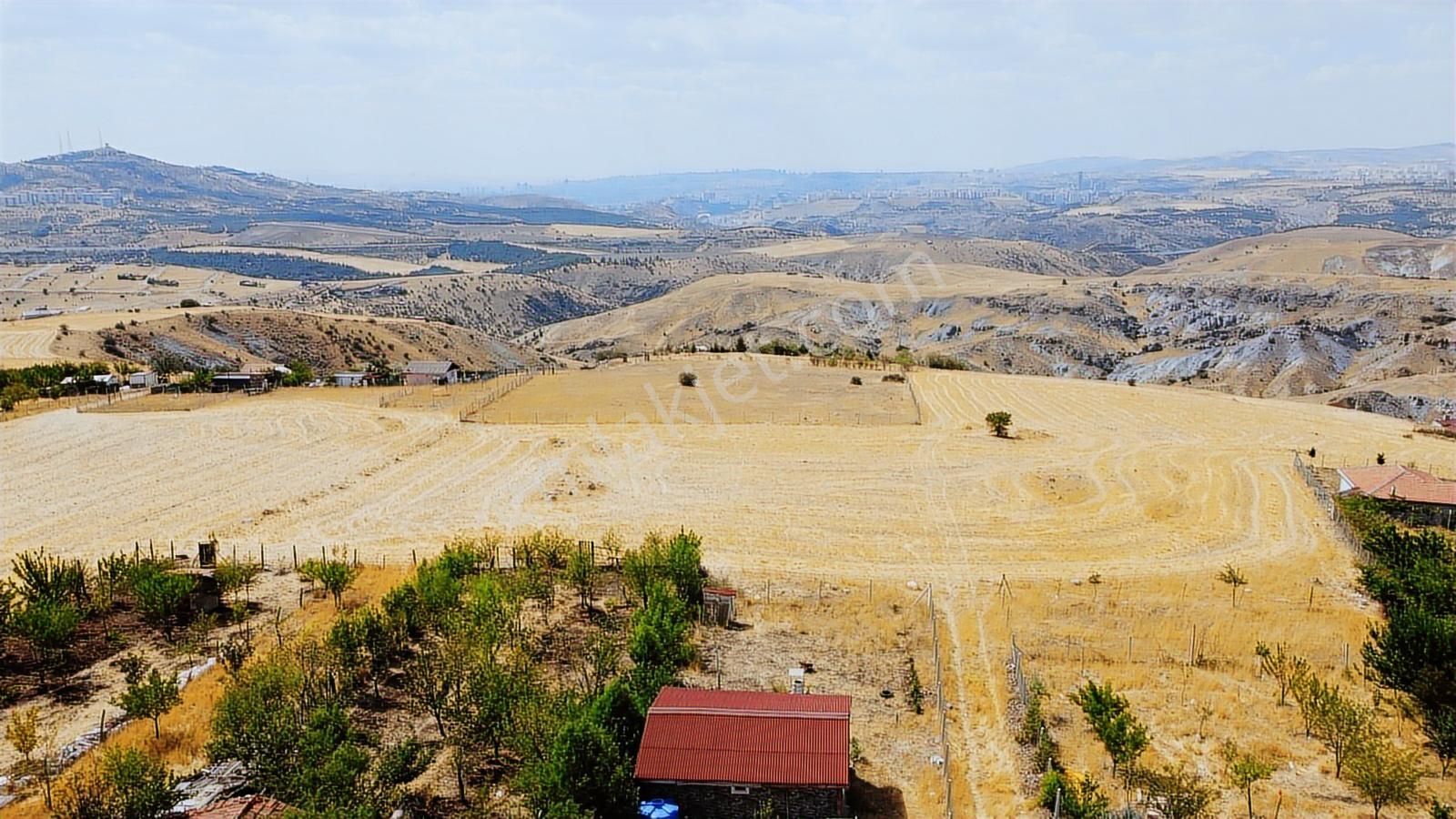 -*karapürçek Te Manzaralı Tel Örgülü Konteynerli Tapulu Bahçe-* - Görsel 21