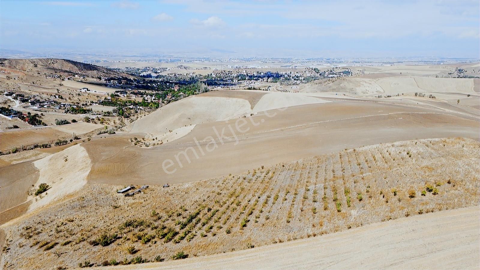 **güzelhisar Da Yol Kenarı 850 Metre Tapulu Bahçe-*- - Görsel 8