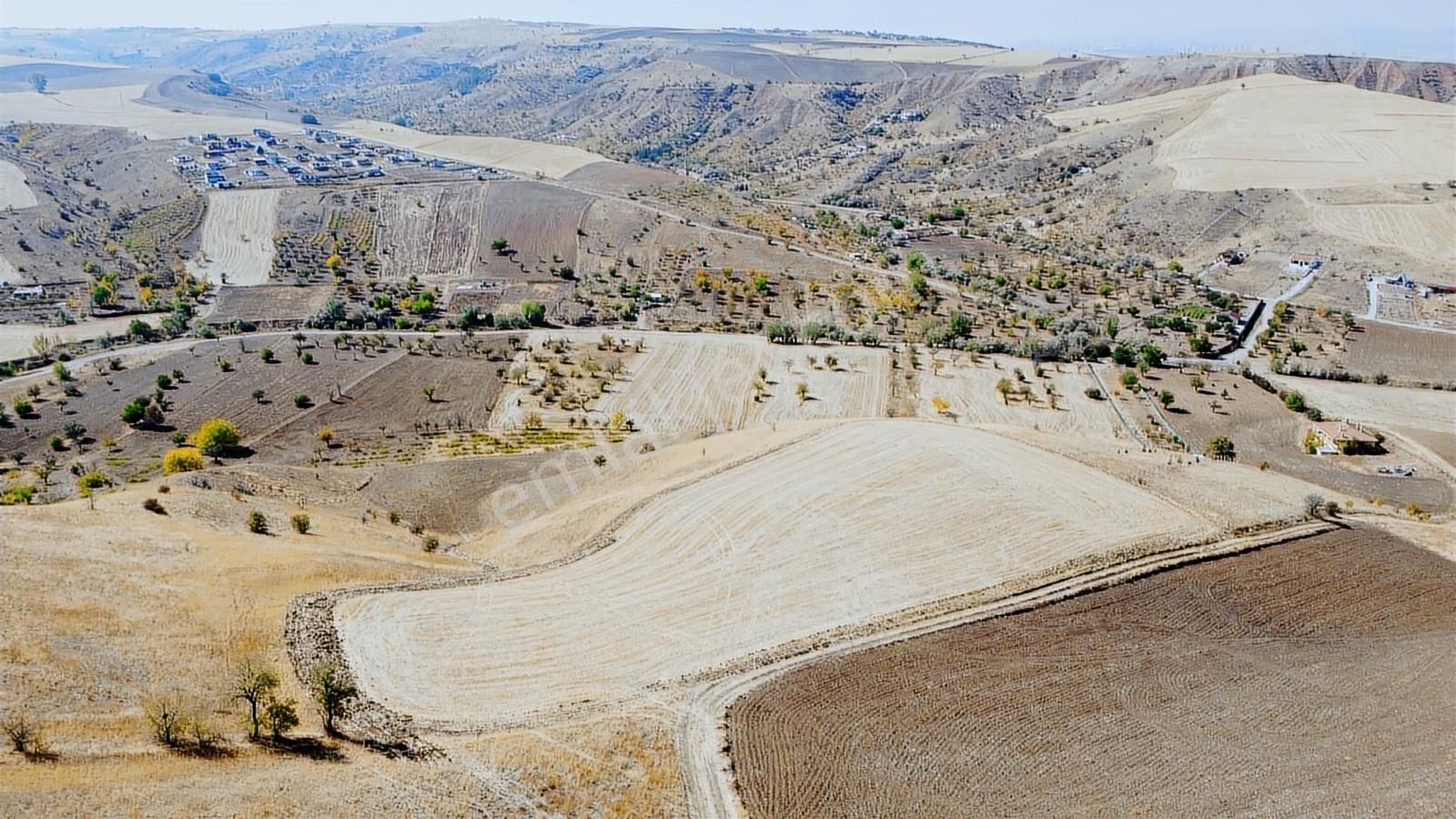 **güzelhisar Da Yol Kenarı 850 Metre Tapulu Bahçe-*- - Görsel 4