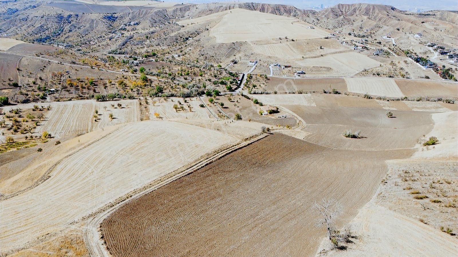**güzelhisar Da Yol Kenarı 850 Metre Tapulu Bahçe-*- - Görsel 2