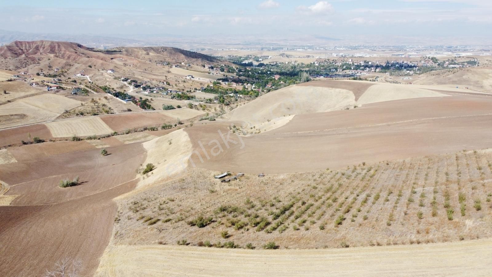 **güzelhisar Da Yol Kenarı 850 Metre Tapulu Bahçe-*- - Görsel 21