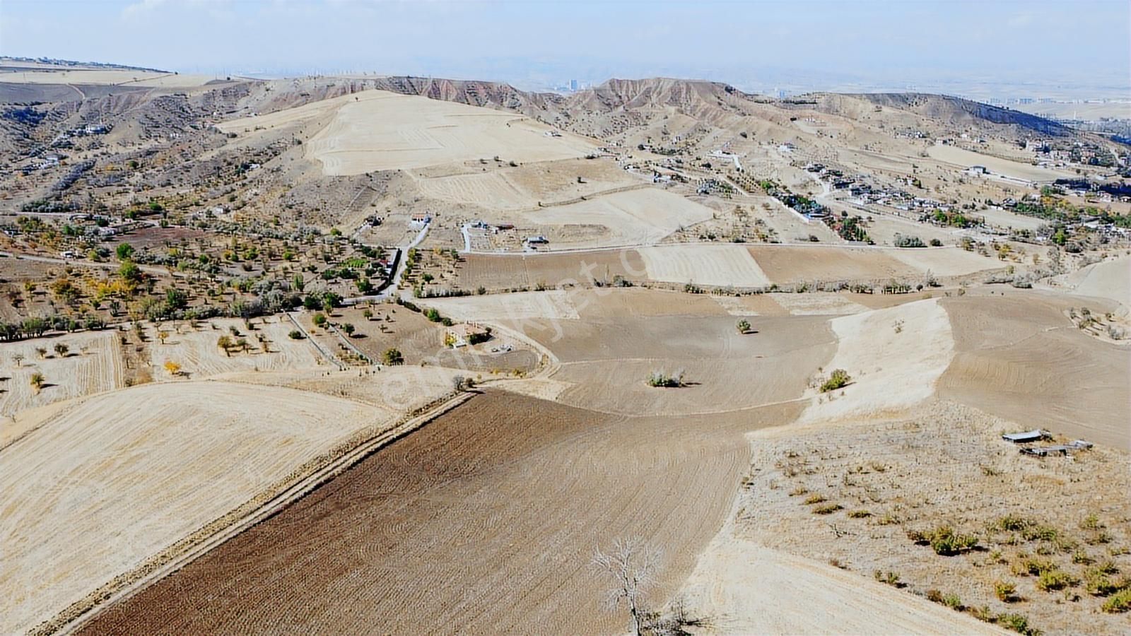 **güzelhisar Da Yol Kenarı 850 Metre Tapulu Bahçe-*- - Görsel 9