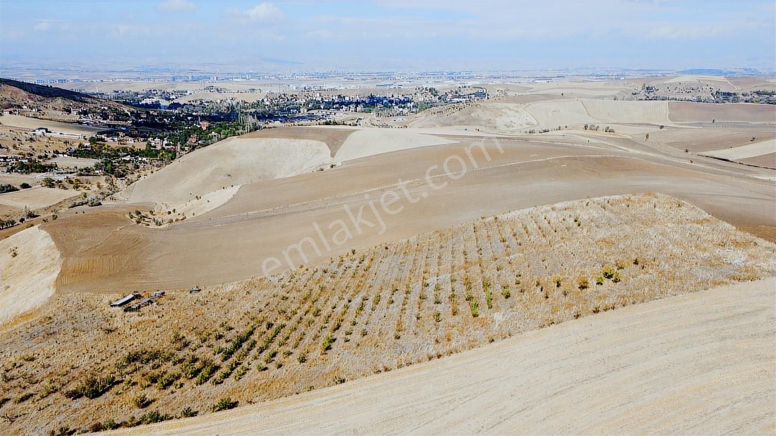 **güzelhisar Da Yol Kenarı 850 Metre Tapulu Bahçe-*- - Görsel 12