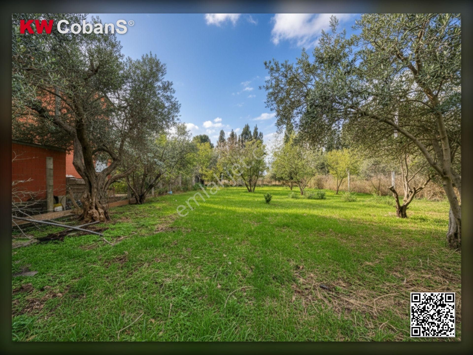 Kw Cobans’tan Kemalpaşa Ören – Acil Satılık 5838 M² / 424 M² Kirazlık Bahçe! - Görsel 22