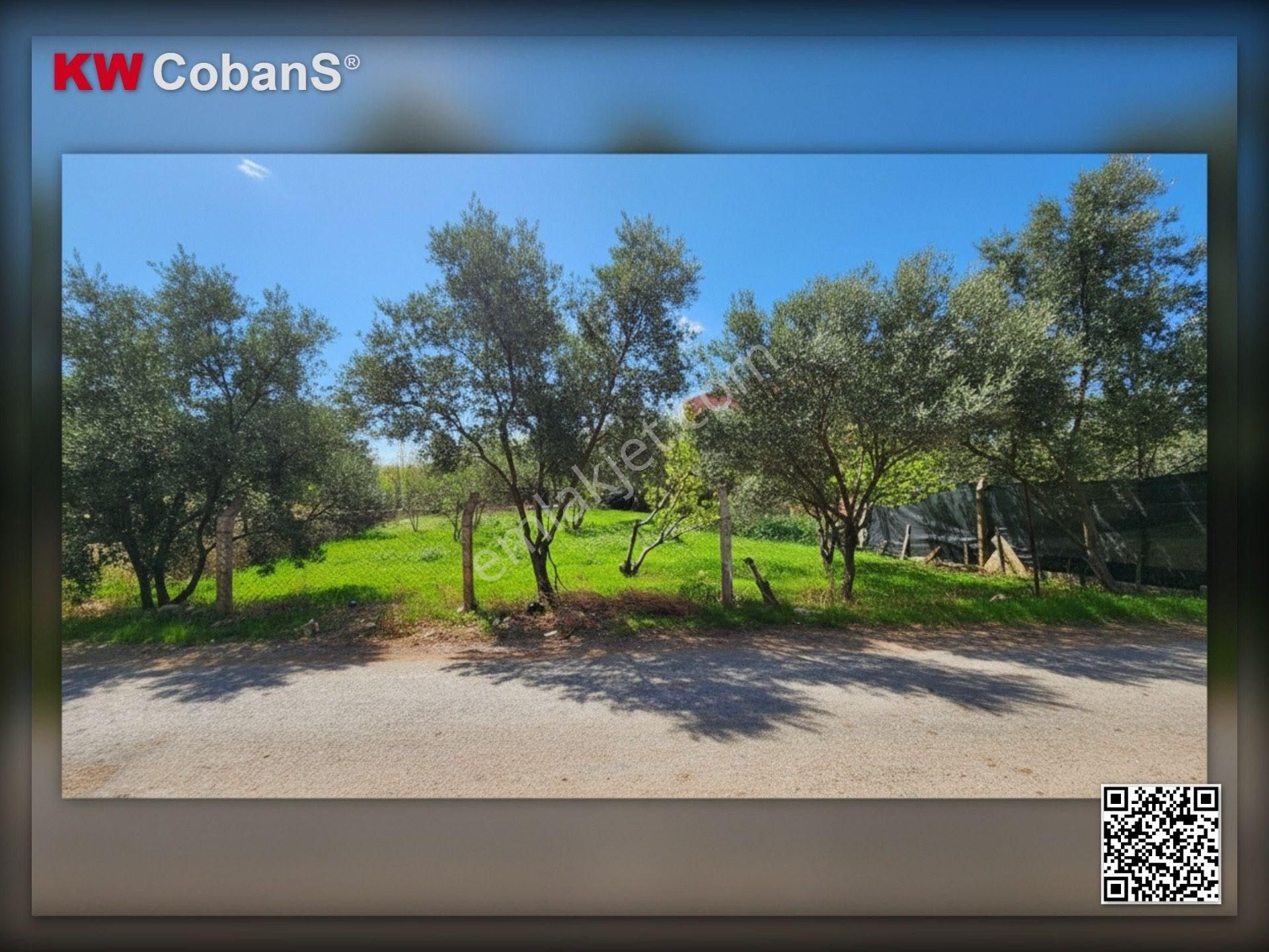 Kw Cobans’tan Kemalpaşa Ören – Acil Satılık 5838 M² / 424 M² Kirazlık Bahçe! - Görsel 16