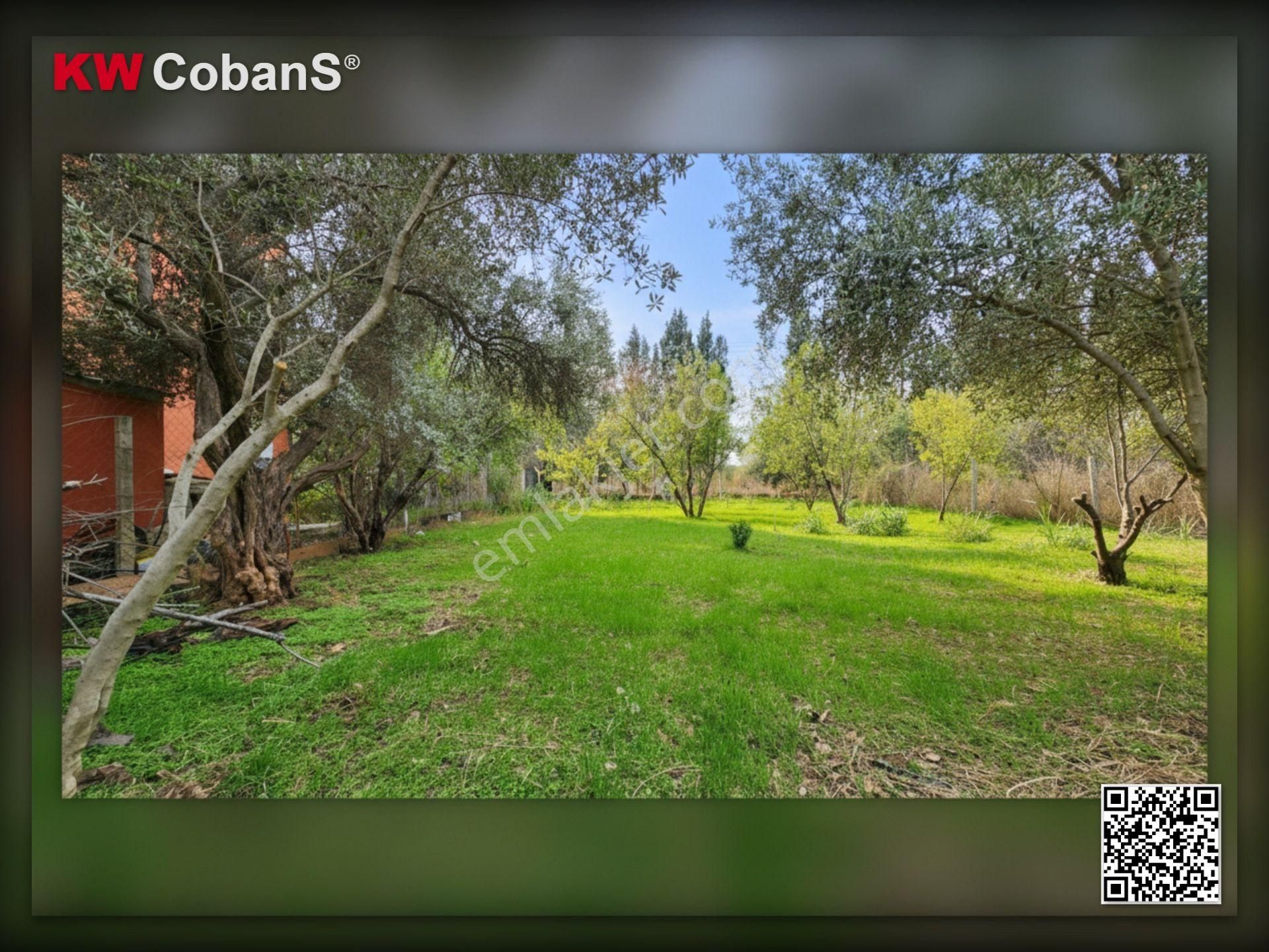 Kw Cobans’tan Kemalpaşa Ören – Acil Satılık 5838 M² / 424 M² Kirazlık Bahçe! - Görsel 28
