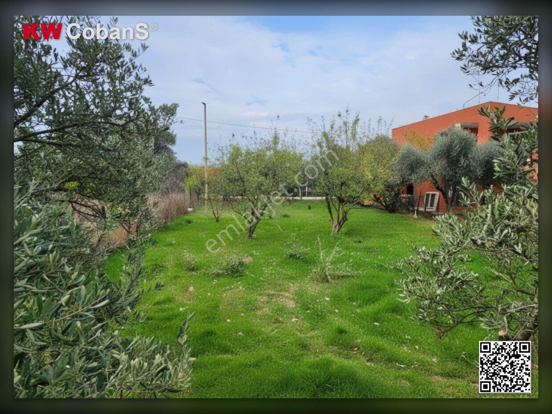 Kw Cobans’tan Kemalpaşa Ören – Acil Satılık 5838 M² / 424 M² Kirazlık Bahçe! - Görsel 10