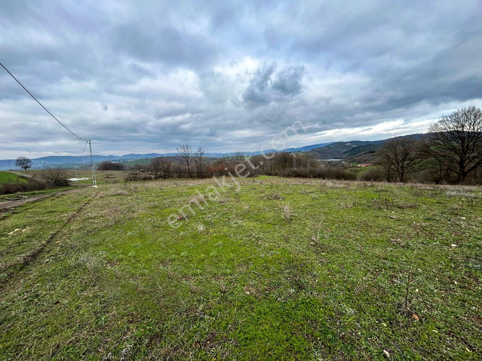 Kocaeli Karamürsel Çamdibi Satılık %5 İmarlı 5498 M2 Tarla - Görsel 7