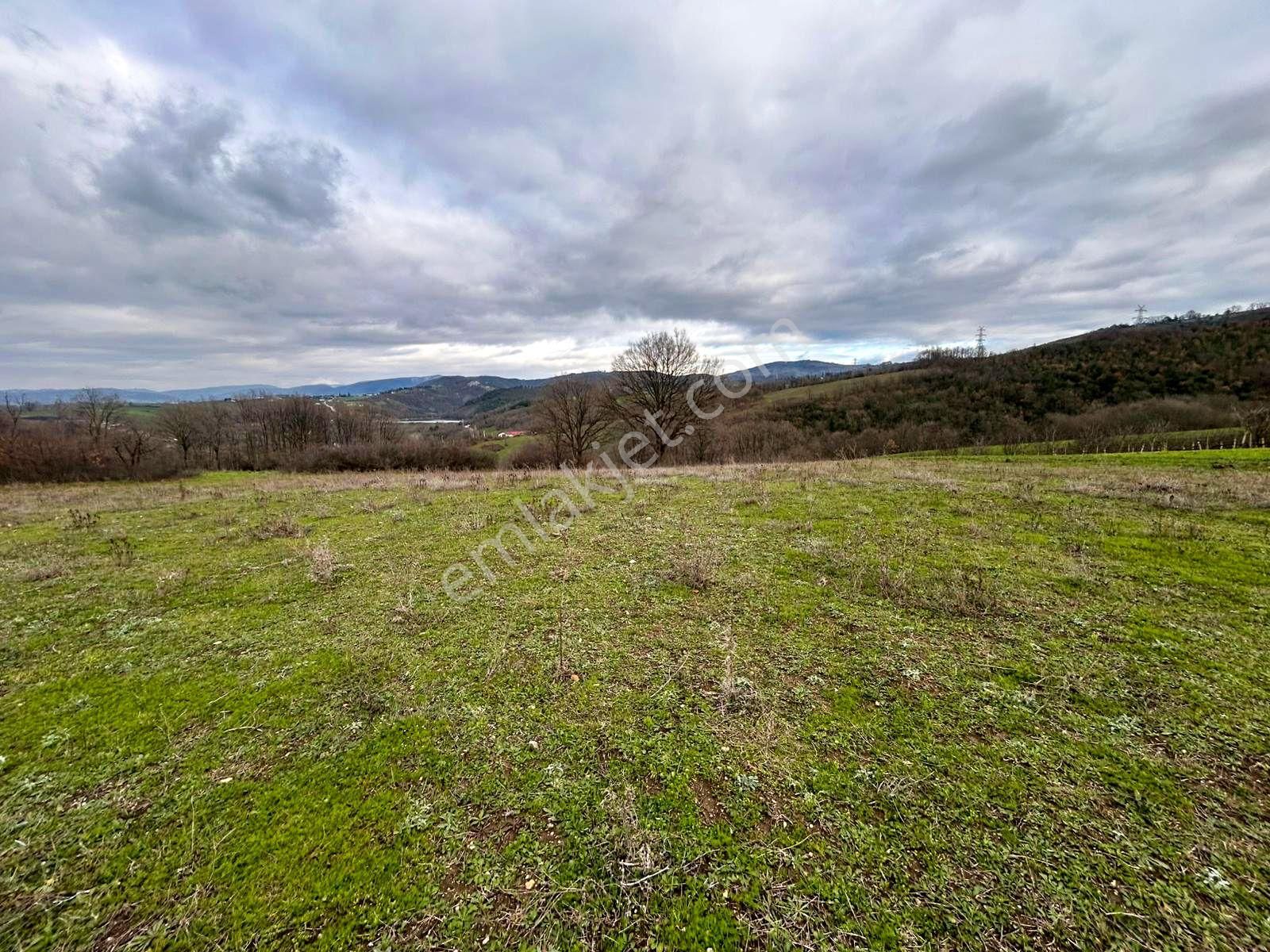 Kocaeli Karamürsel Çamdibi Satılık %5 İmarlı 5498 M2 Tarla - Görsel 11