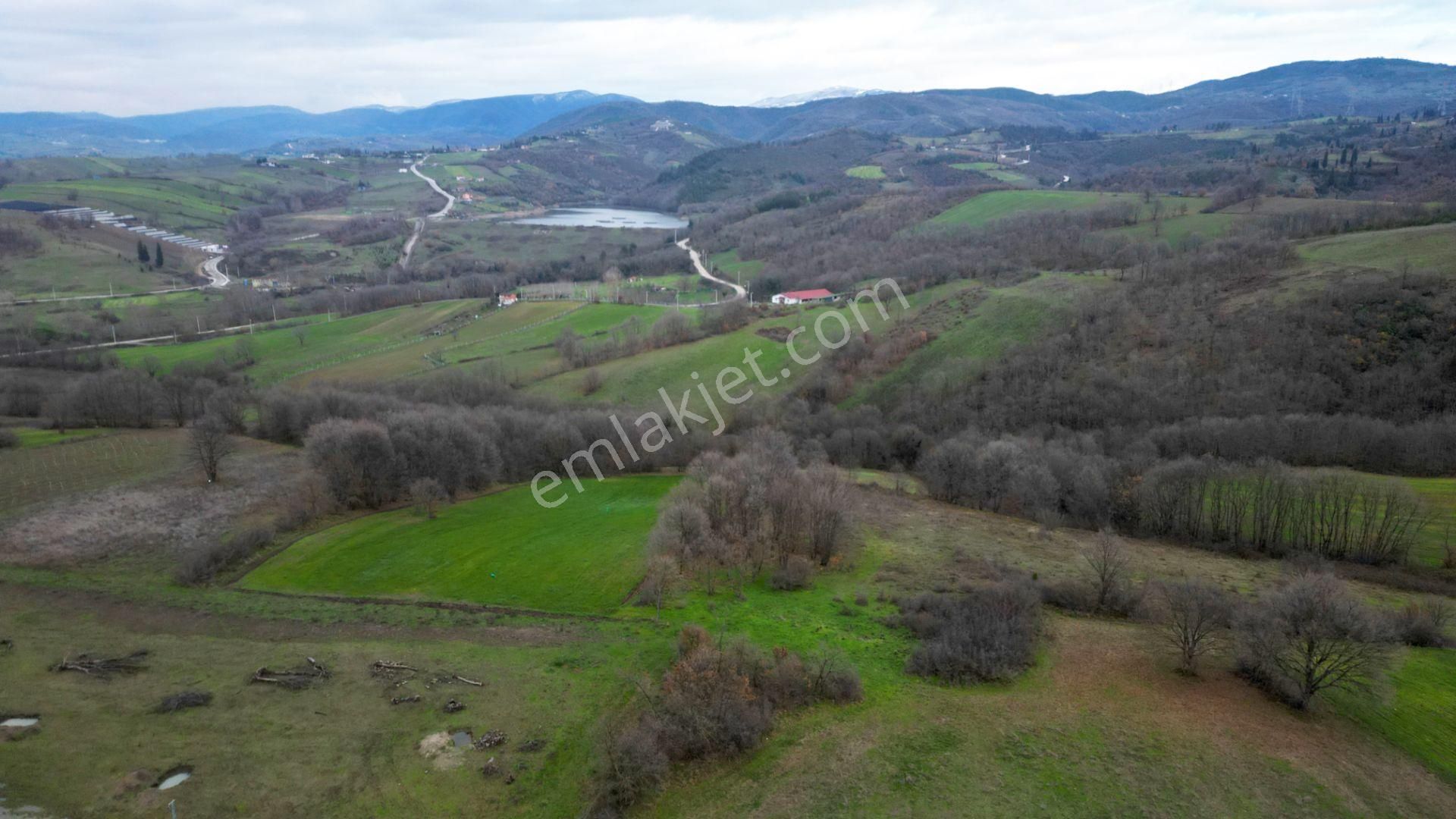 Kocaeli Karamürsel Çamdibi Satılık %5 İmarlı 5498 M2 Tarla - Görsel 3