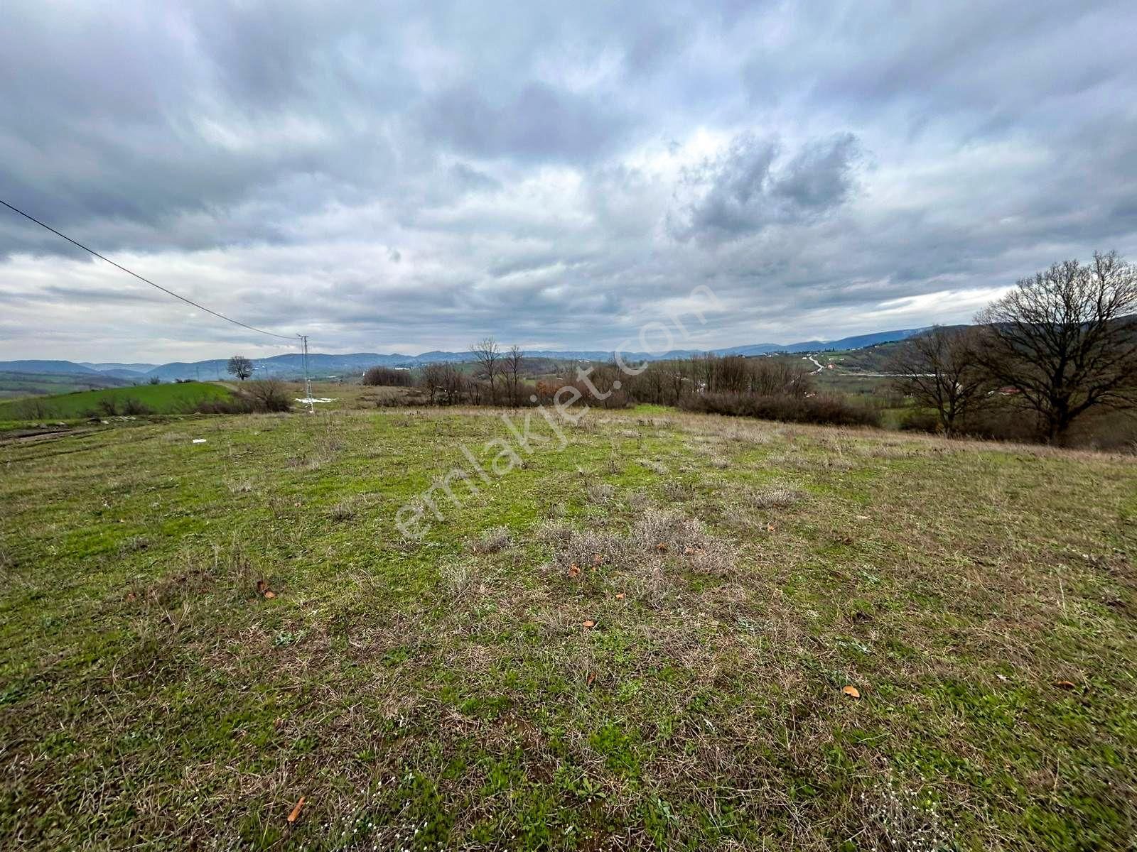 Kocaeli Karamürsel Çamdibi Satılık %5 İmarlı 5498 M2 Tarla - Görsel 9