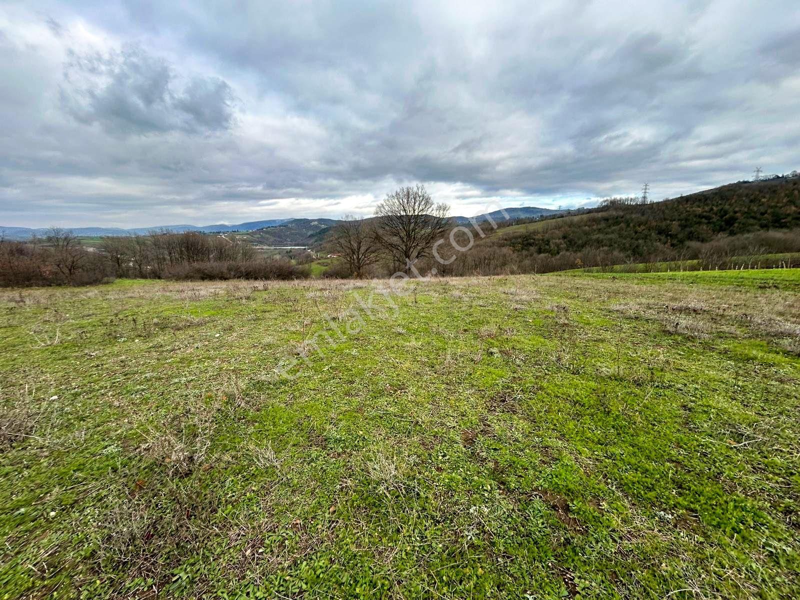 Kocaeli Karamürsel Çamdibi Satılık %5 İmarlı 5498 M2 Tarla - Görsel 10