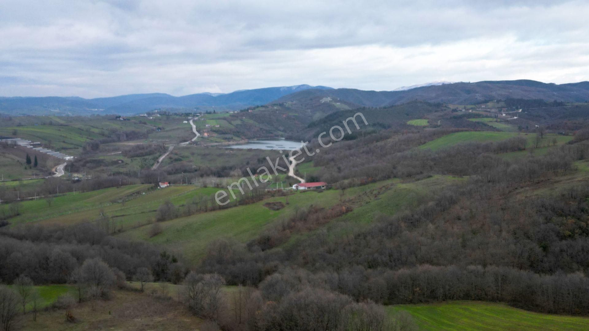 Kocaeli Karamürsel Çamdibi Satılık %5 İmarlı 5498 M2 Tarla - Görsel 6