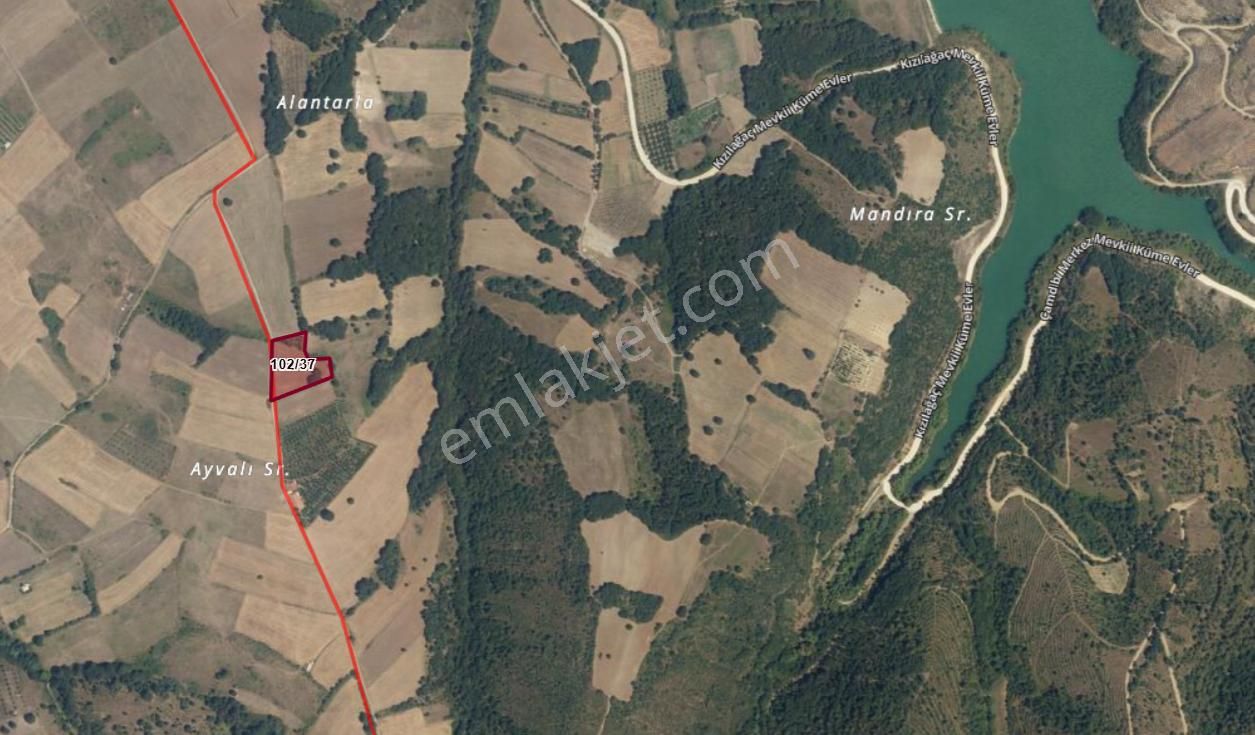 Kocaeli Karamürsel Çamdibi Satılık %5 İmarlı 5498 M2 Tarla - Görsel 13