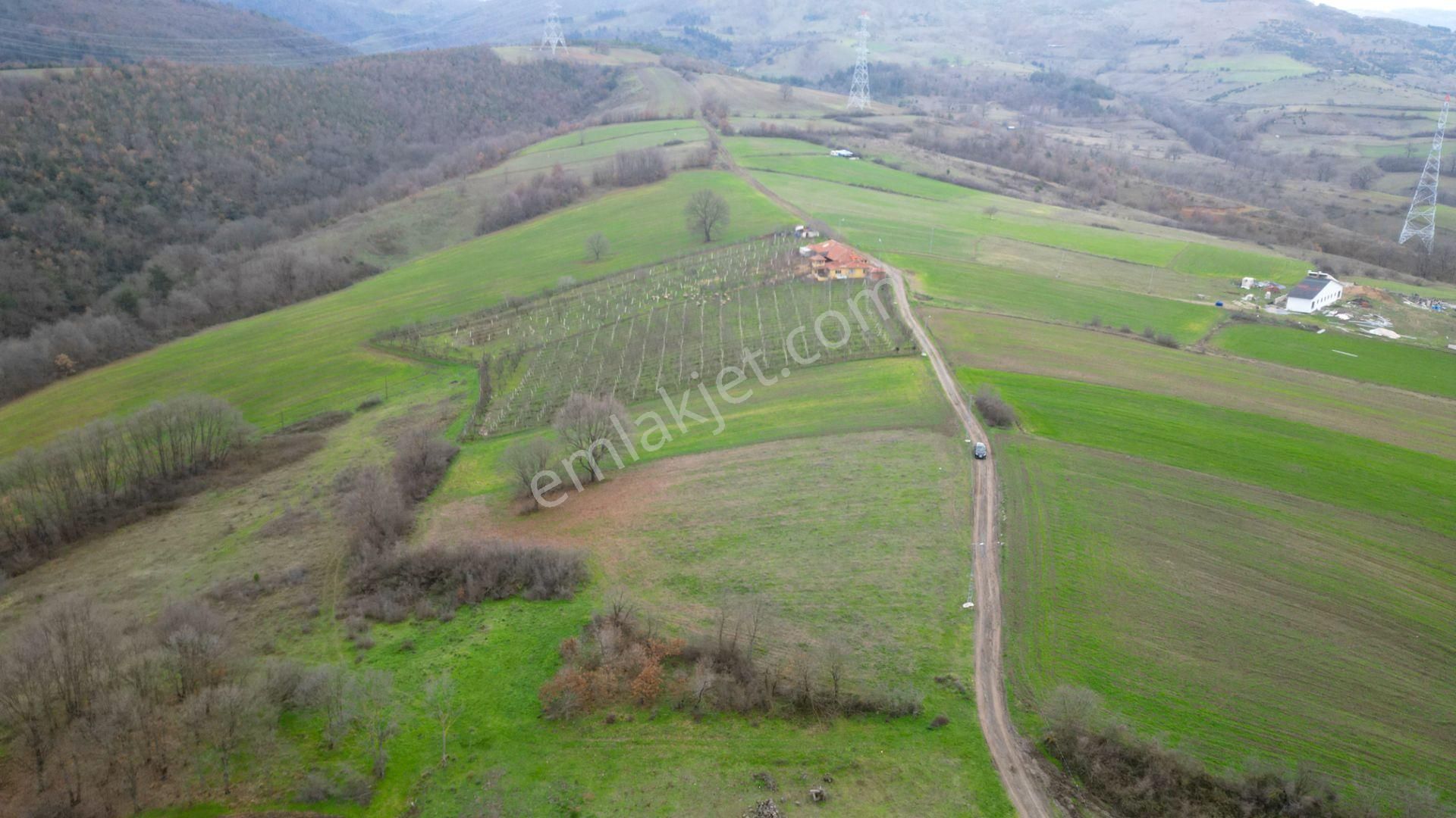 Kocaeli Karamürsel Çamdibi Satılık %5 İmarlı 5498 M2 Tarla - Görsel 4