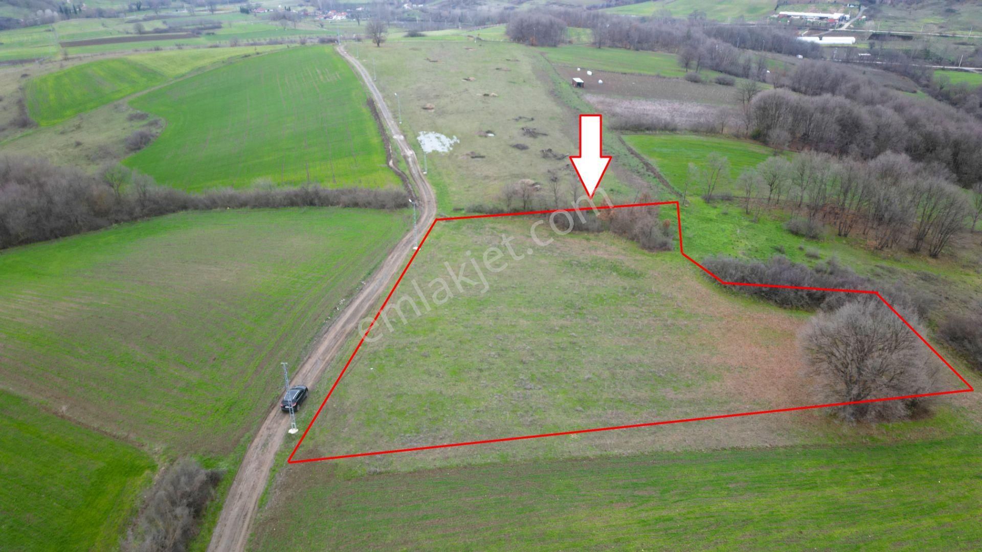 Kocaeli Karamürsel Çamdibi Satılık %5 İmarlı 5498 M2 Tarla