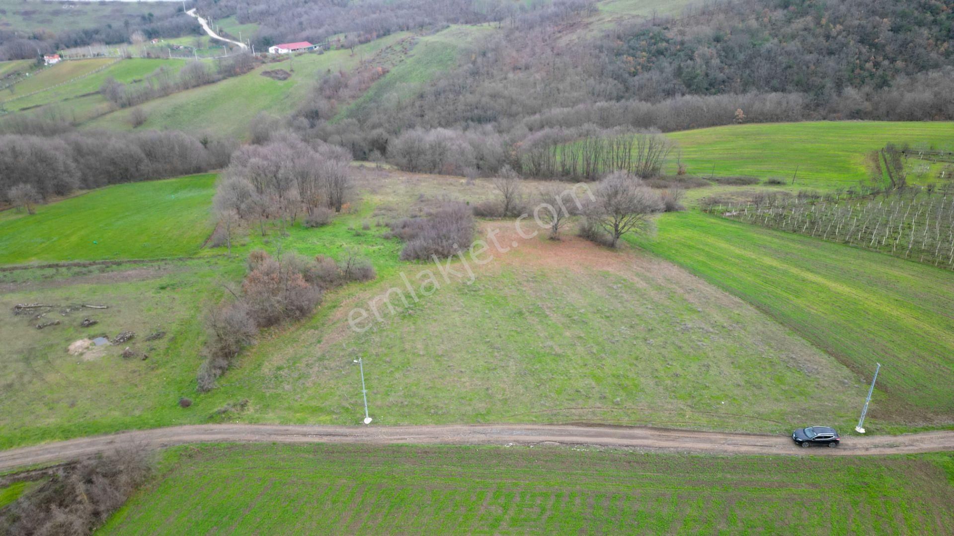 Kocaeli Karamürsel Çamdibi Satılık %5 İmarlı 5498 M2 Tarla - Görsel 2