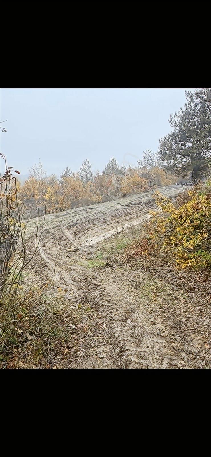 Anka'dan Küçükyenice Mh'de Satılık 550 M2 Manzaralı Hobi Bahçesi - Görsel 8