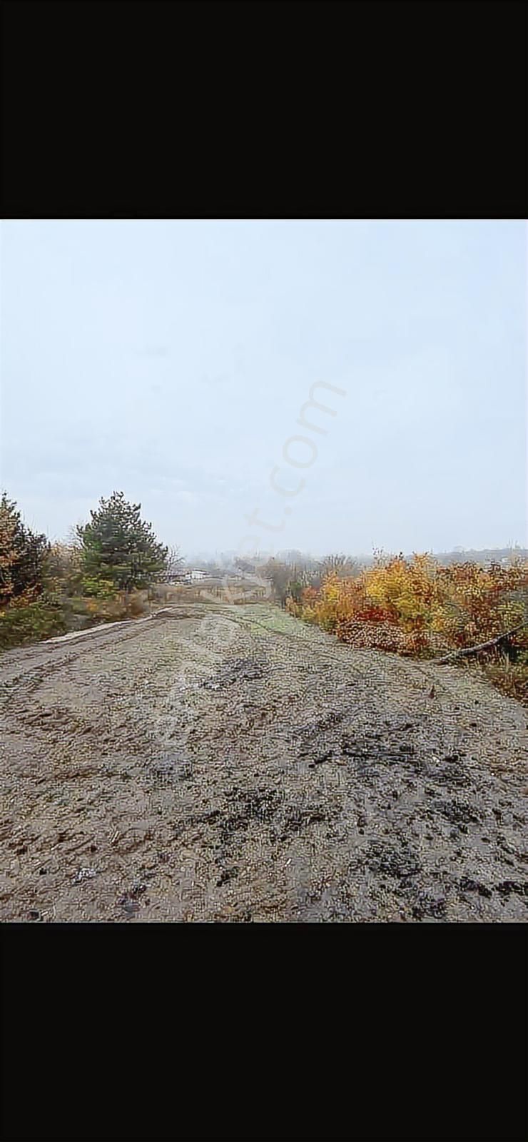 Anka'dan Küçükyenice Mh'de Satılık 550 M2 Manzaralı Hobi Bahçesi - Görsel 7