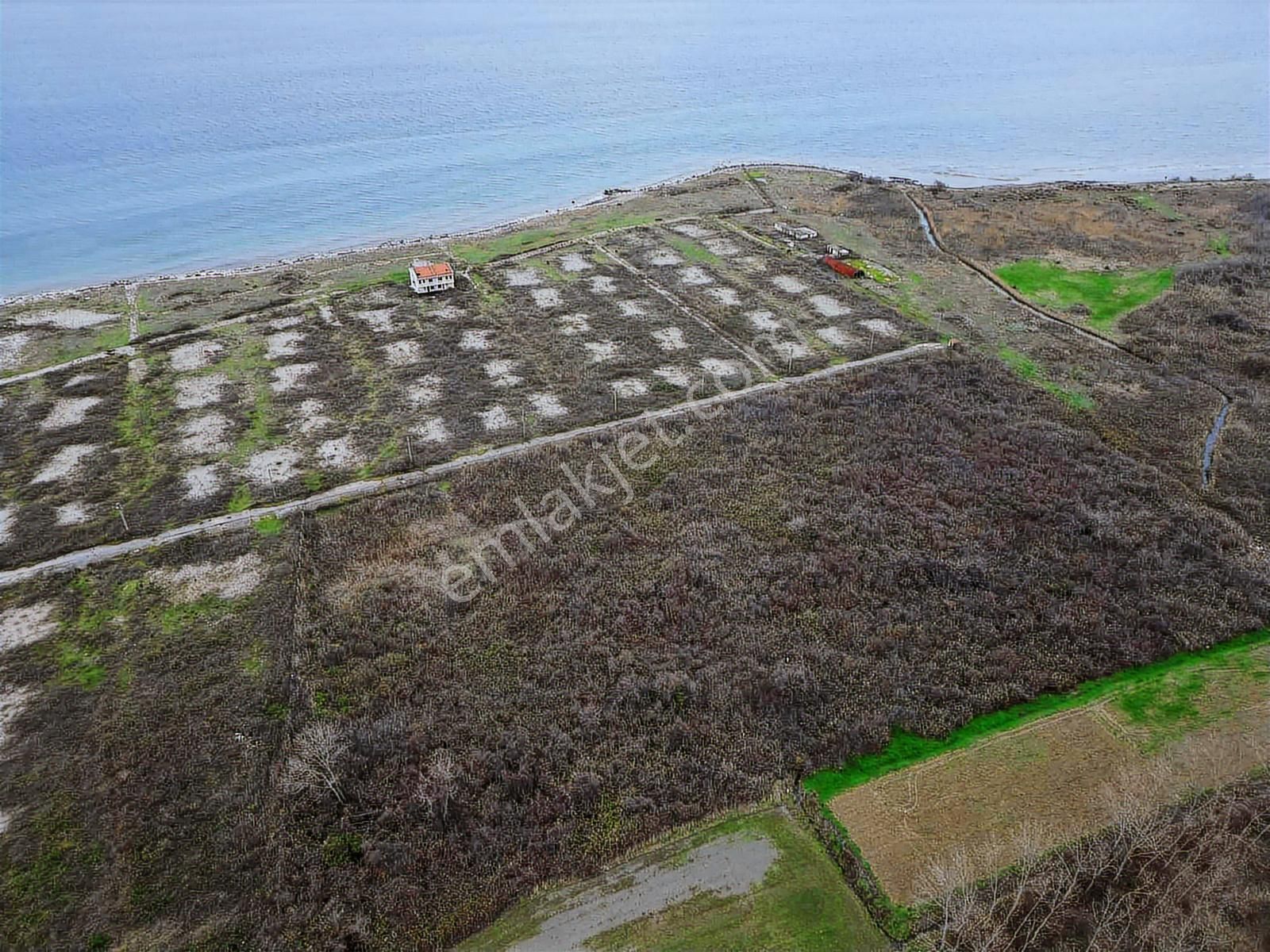 Blue Yatırım'dan Yalova Taşköprü'de 745m2 Sanayi İmarlı Arazi - Görsel 4