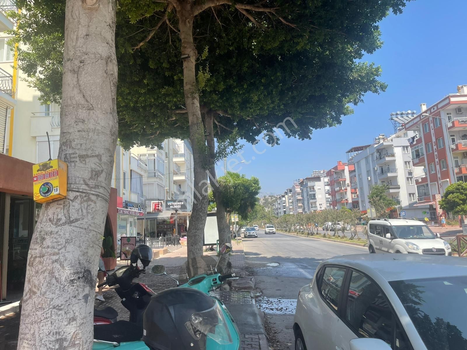 Boğacay Cadde Üzeri Katta 2+1 Satılık Masrafsız Daire - Görsel 26
