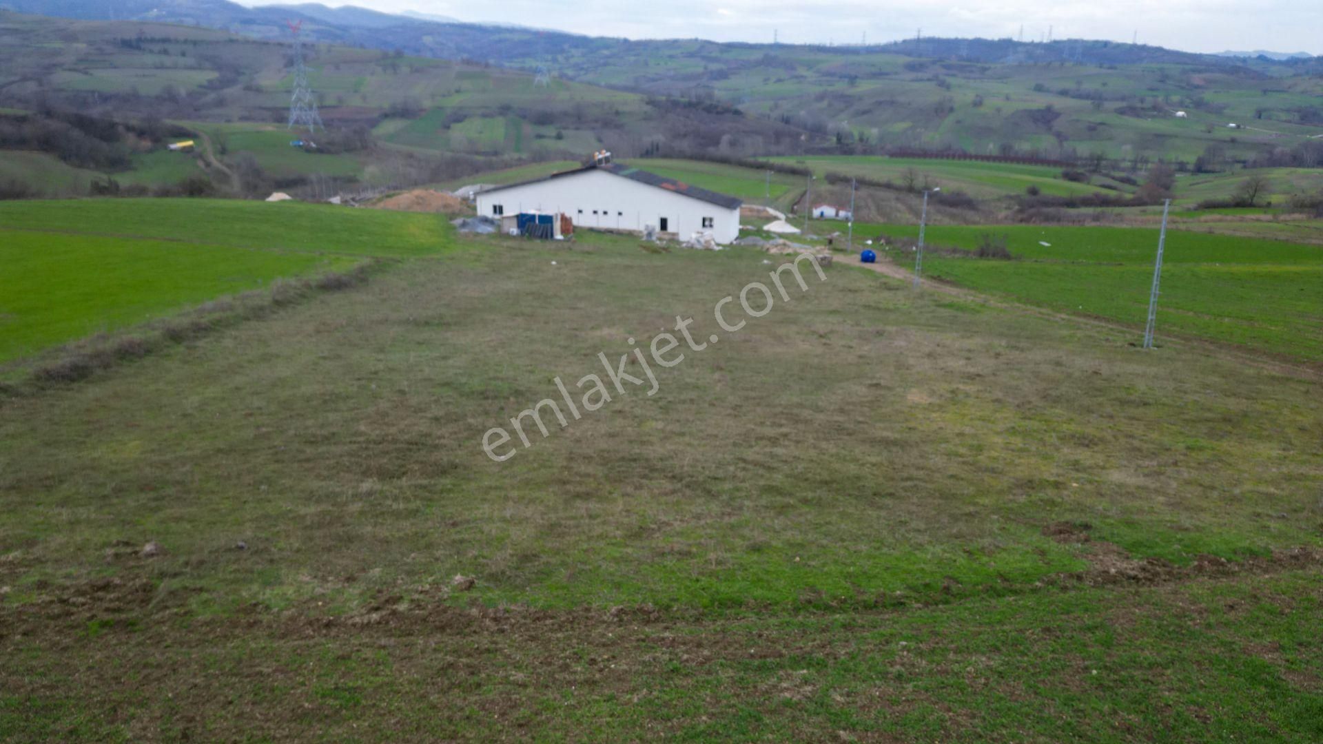 Kocaeli Karamürsel Kızderbent %5 İmarlı 3776 M2 Satılık Tarla - Görsel 7