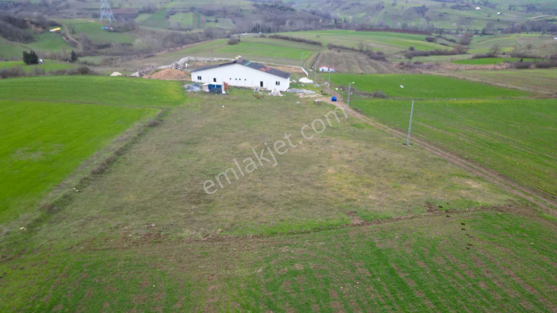 Kocaeli Karamürsel Kızderbent %5 İmarlı 3776 M2 Satılık Tarla - Görsel 6