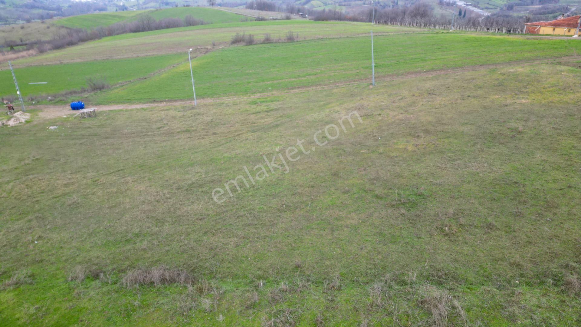 Kocaeli Karamürsel Kızderbent %5 İmarlı 3776 M2 Satılık Tarla - Görsel 4