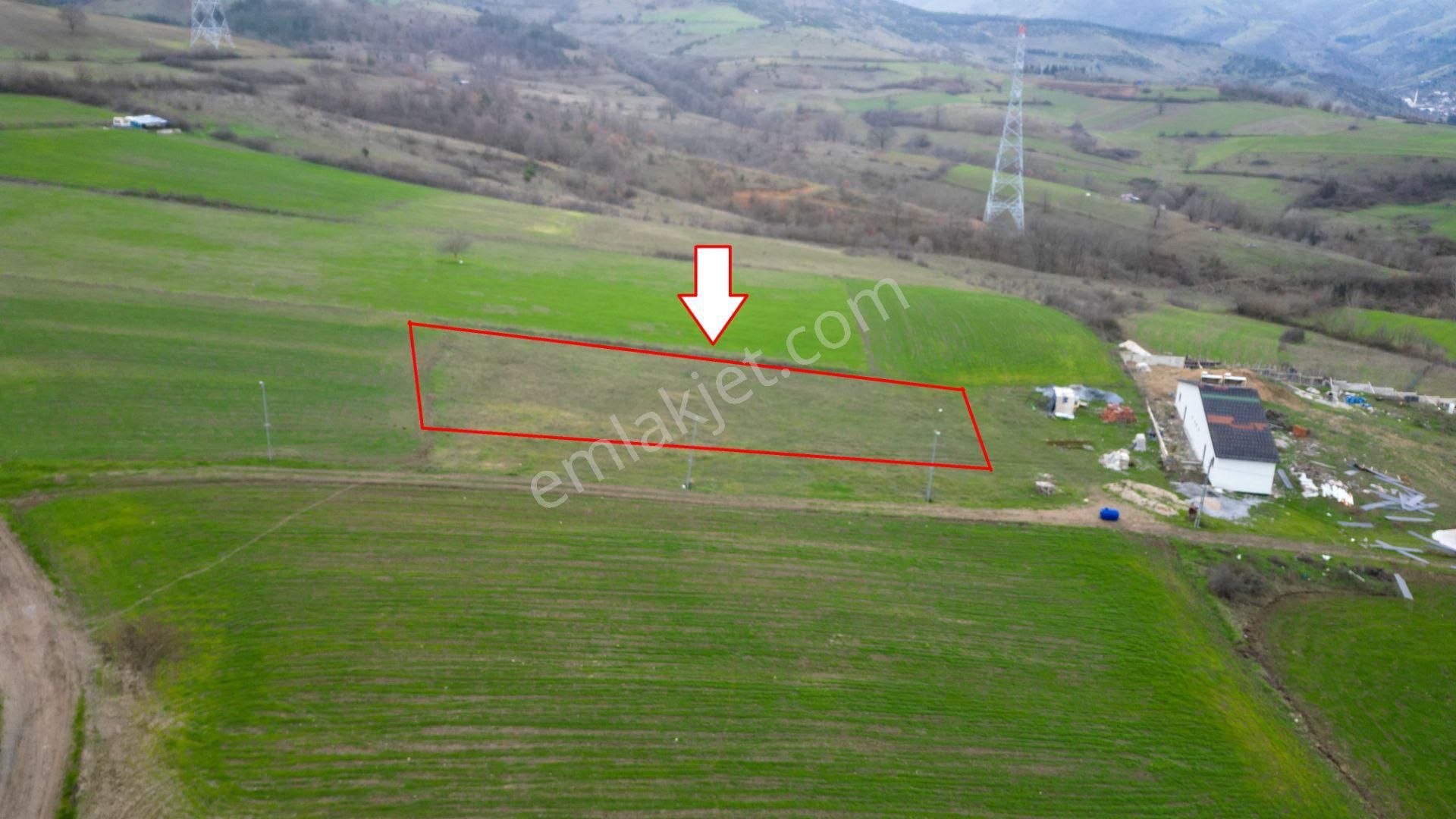 Kocaeli Karamürsel Kızderbent %5 İmarlı 3776 M2 Satılık Tarla