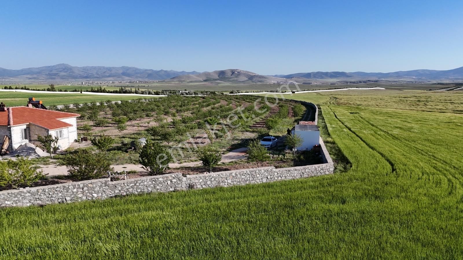 Afyonkarahisar, Emirdağ, Anayola Bitişik, Taş Ev , Havuzlu - Görsel 10