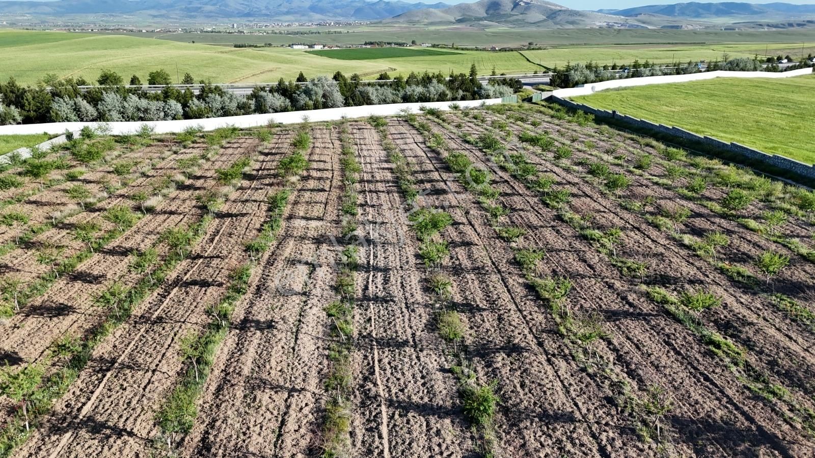 Afyonkarahisar, Emirdağ, Anayola Bitişik, Taş Ev , Havuzlu - Görsel 28