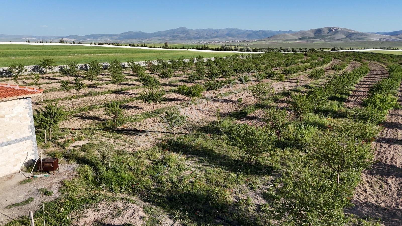 Afyonkarahisar, Emirdağ, Anayola Bitişik, Taş Ev , Havuzlu - Görsel 12