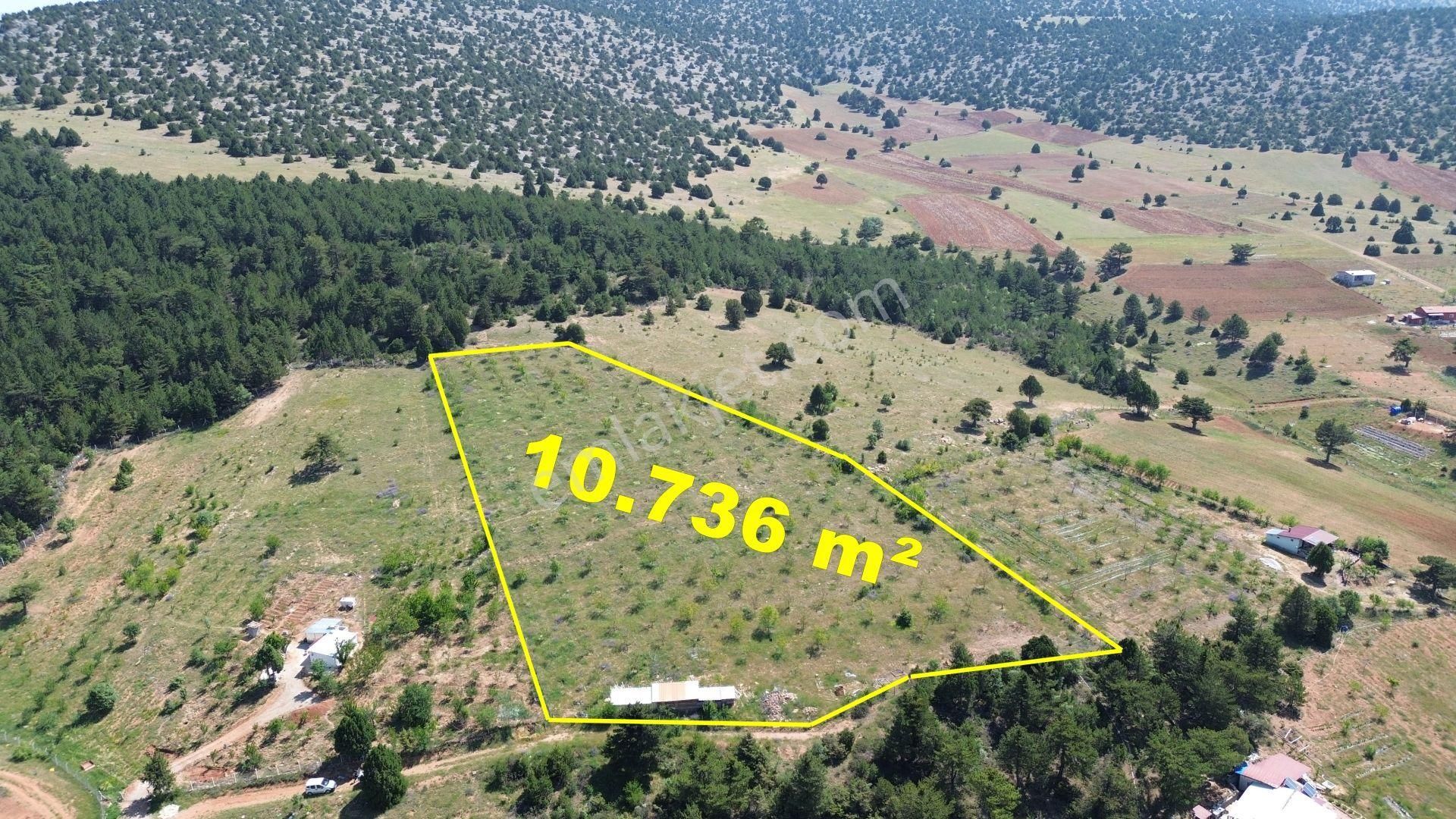 Konya / Ilgın / Gökçeyurt-özlem Mahallesinde 10.736 M² Müstakil Tapulu Tarla - Görsel 4