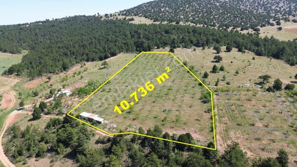 Konya / Ilgın / Gökçeyurt-özlem Mahallesinde 10.736 M² Müstakil Tapulu Tarla