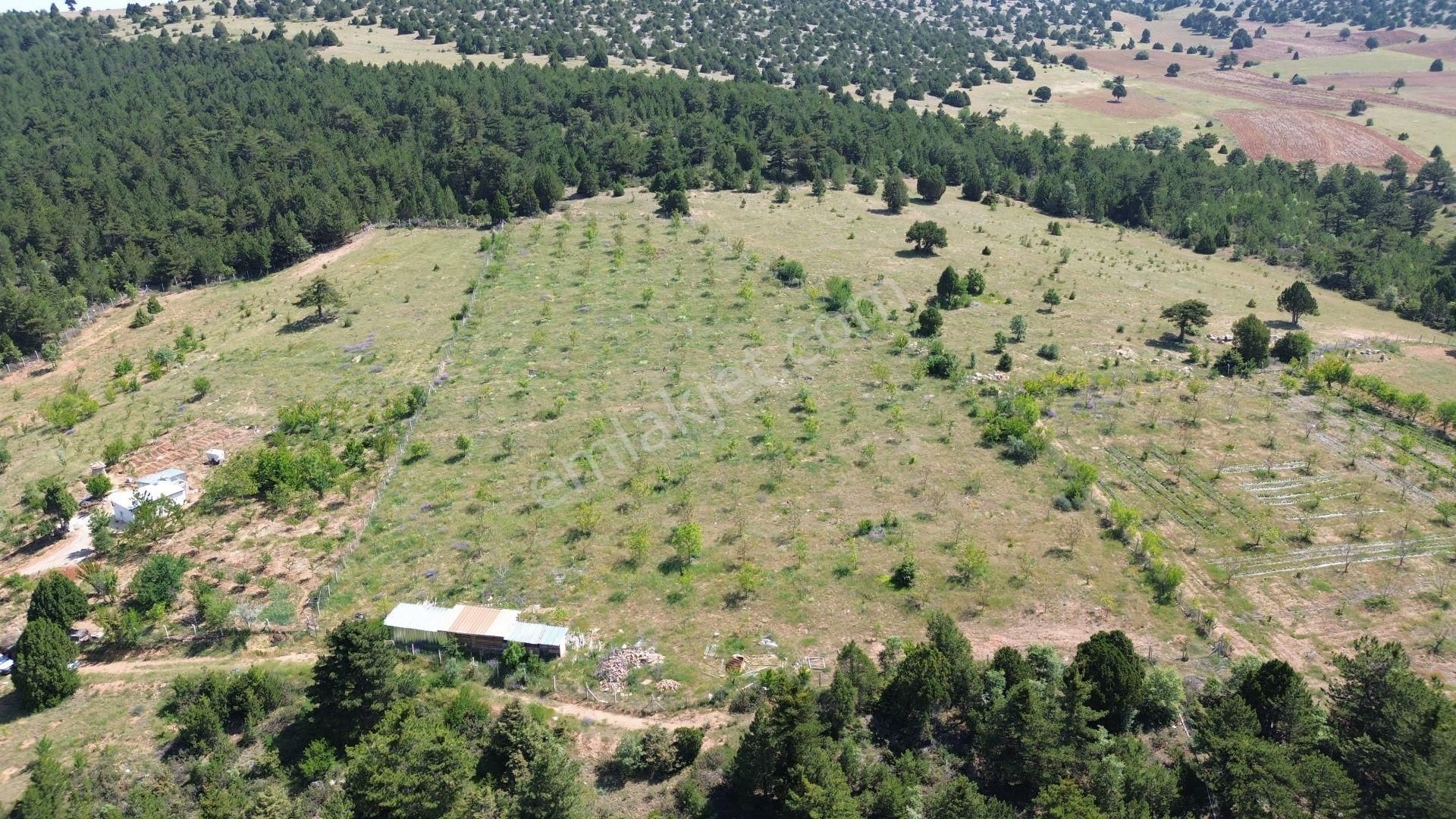 Konya / Ilgın / Gökçeyurt-özlem Mahallesinde 10.736 M² Müstakil Tapulu Tarla - Görsel 2