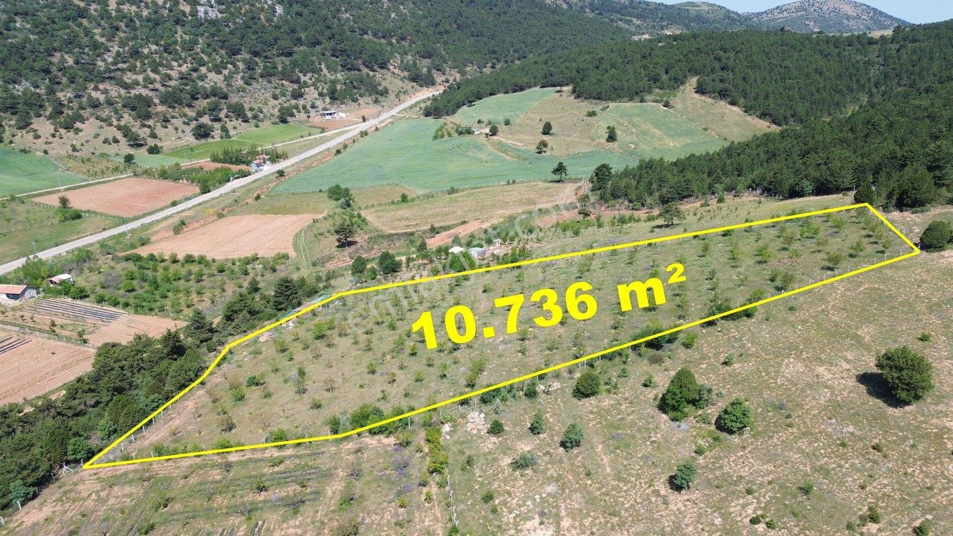 Konya / Ilgın / Gökçeyurt-özlem Mahallesinde 10.736 M² Müstakil Tapulu Tarla - Görsel 3