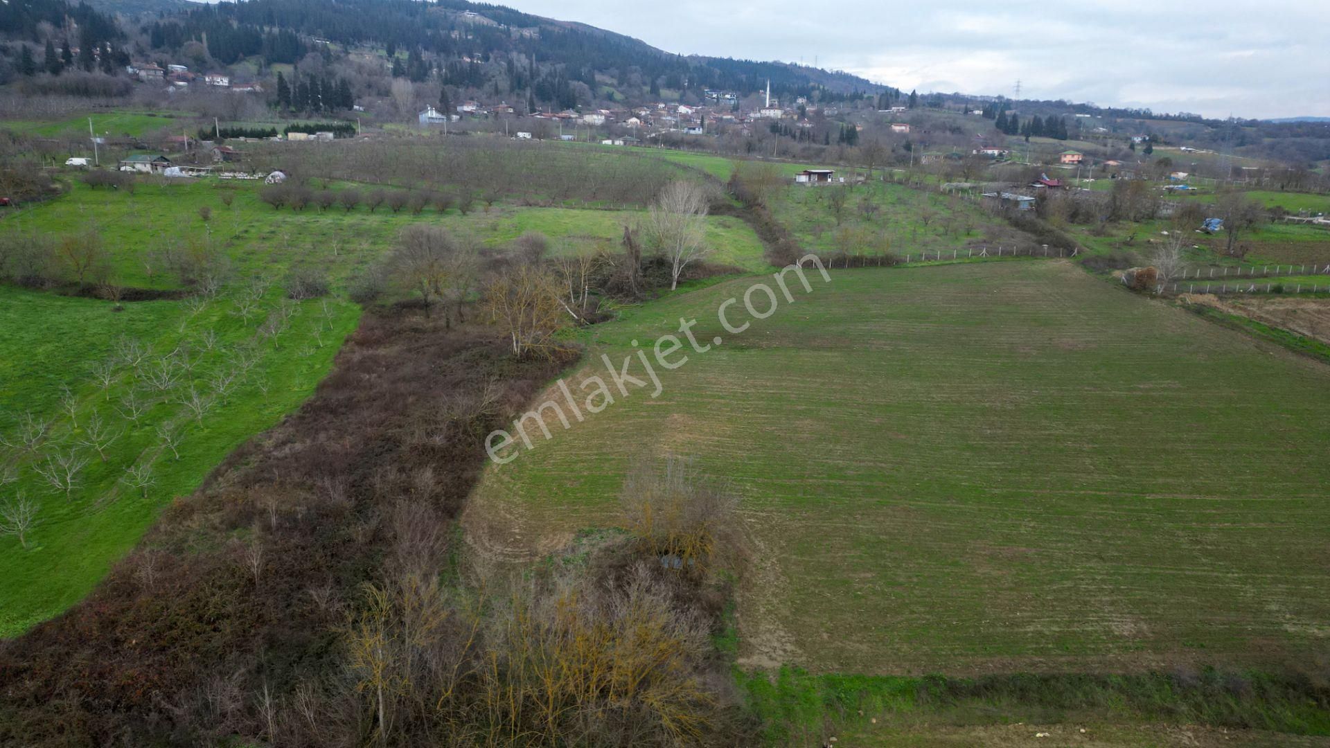 Kocaeli Karamürsel İnebeyli 3303 M2 Satılık Tarla - Görsel 3