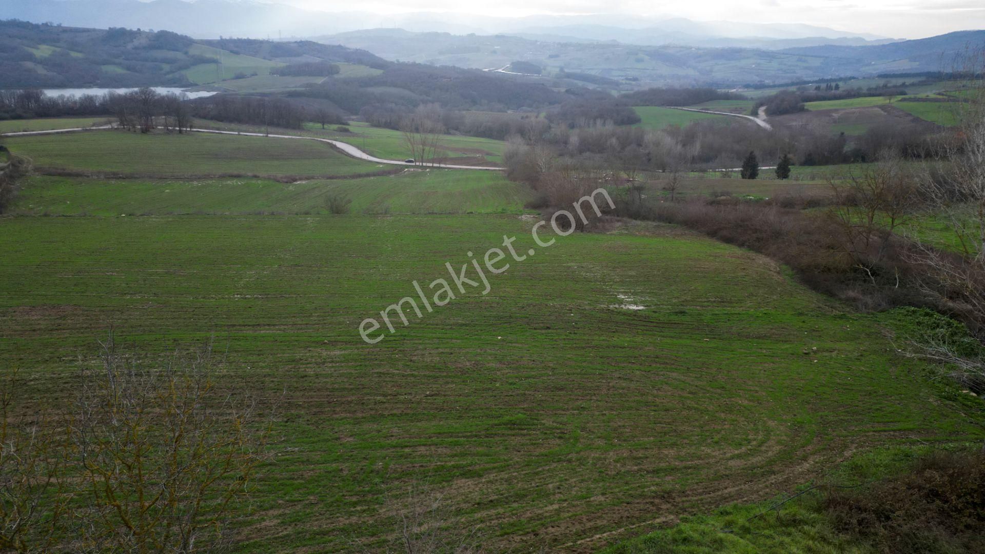 Kocaeli Karamürsel İnebeyli 3303 M2 Satılık Tarla - Görsel 5