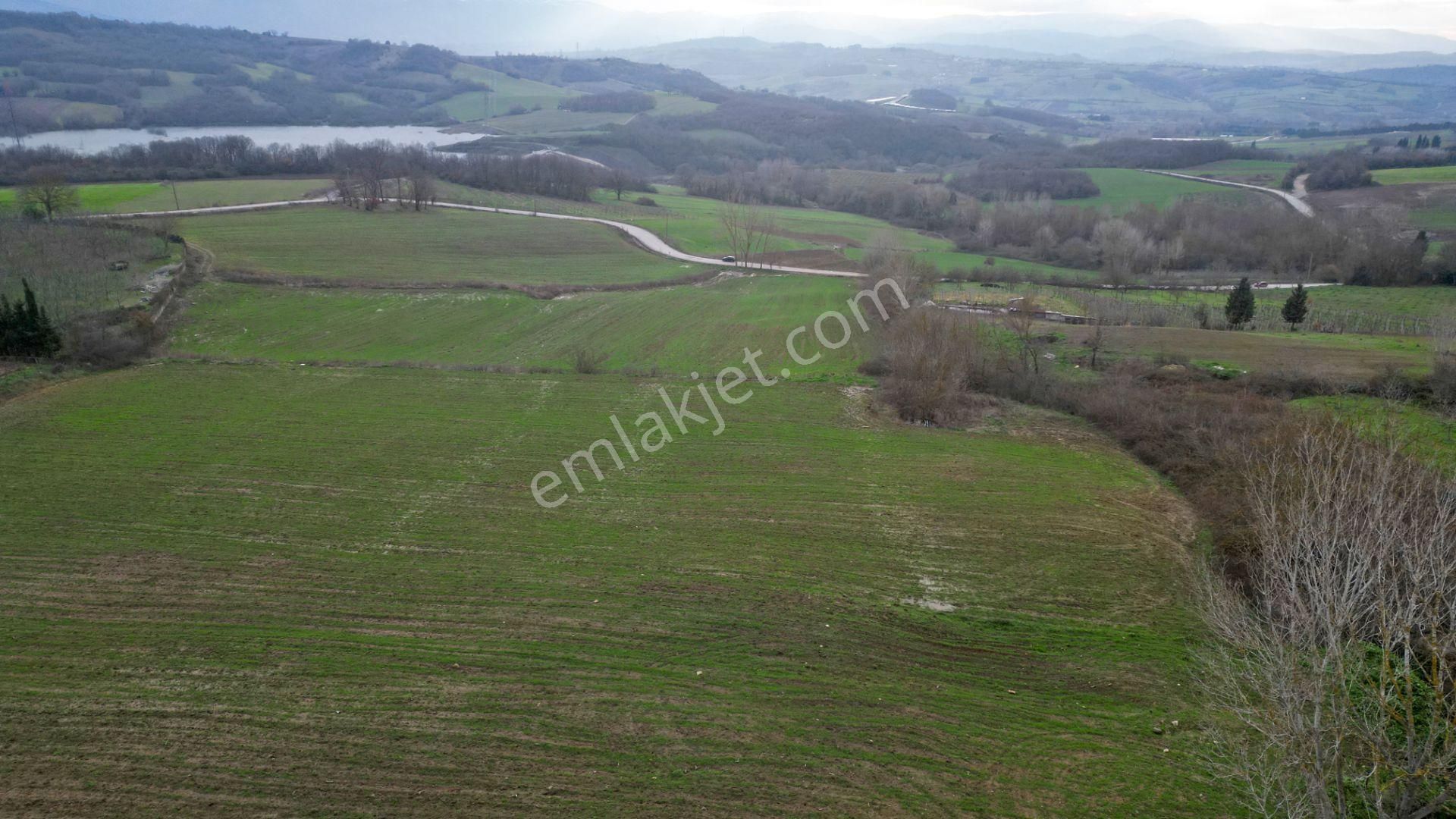 Kocaeli Karamürsel İnebeyli 3303 M2 Satılık Tarla - Görsel 6