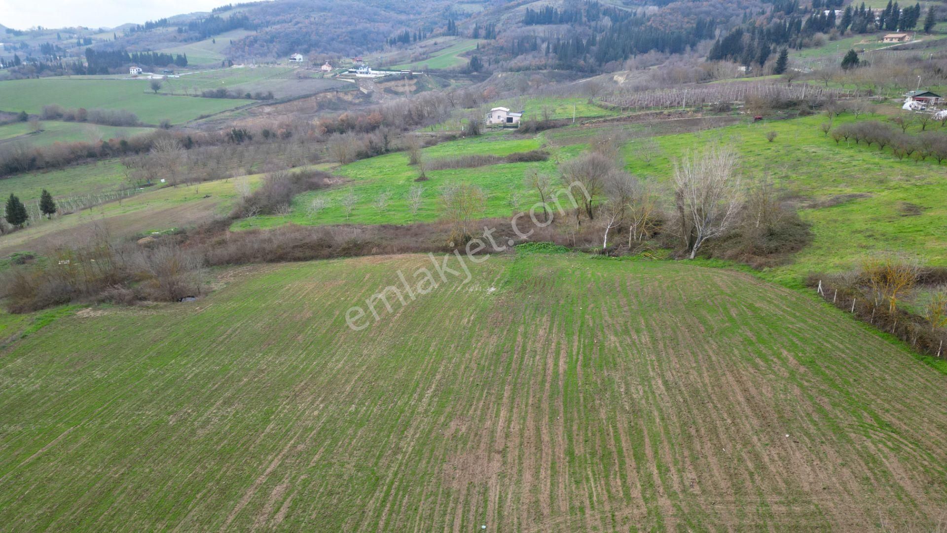 Kocaeli Karamürsel İnebeyli 3303 M2 Satılık Tarla - Görsel 8