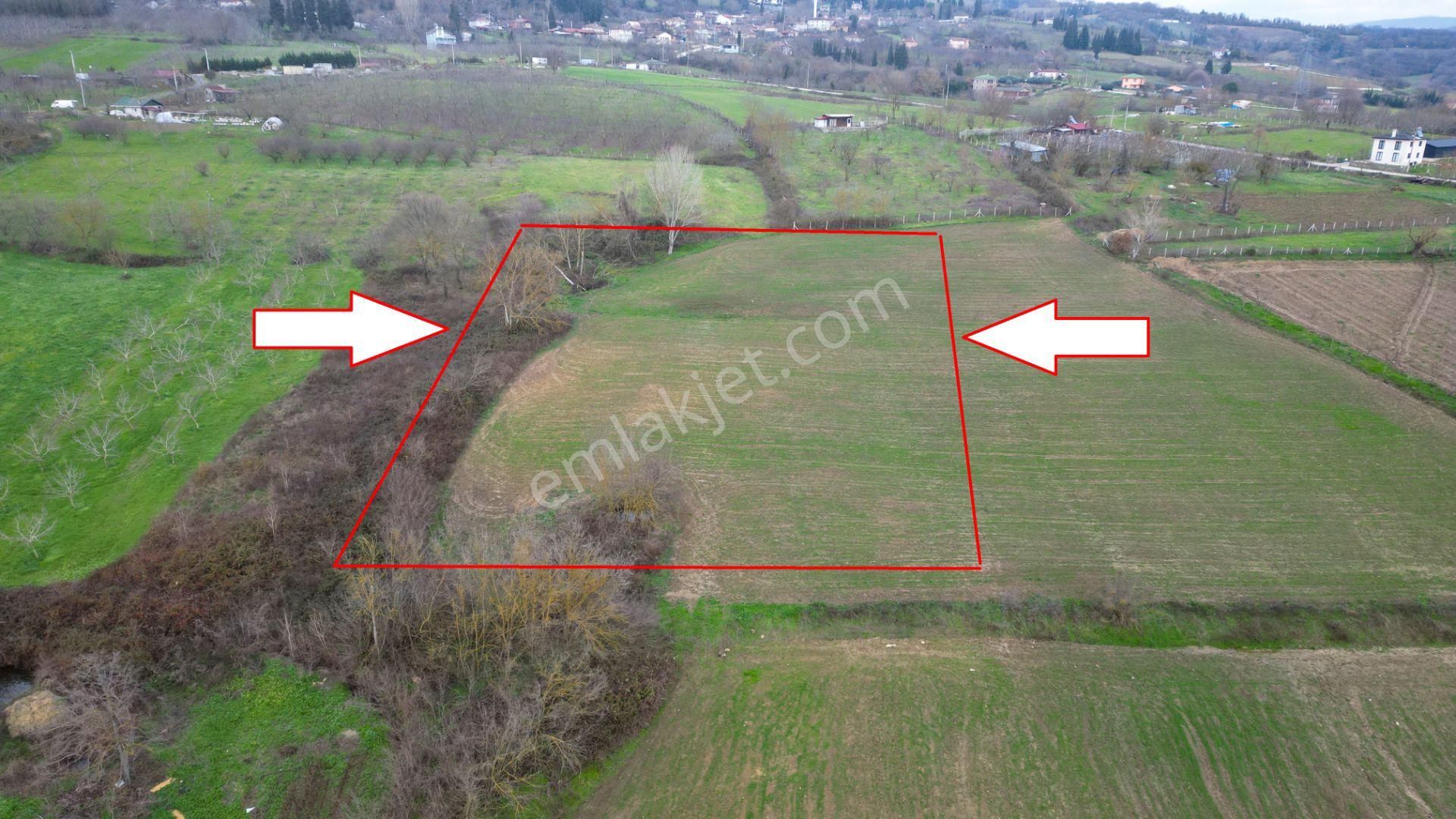 Kocaeli Karamürsel İnebeyli 3303 M2 Satılık Tarla