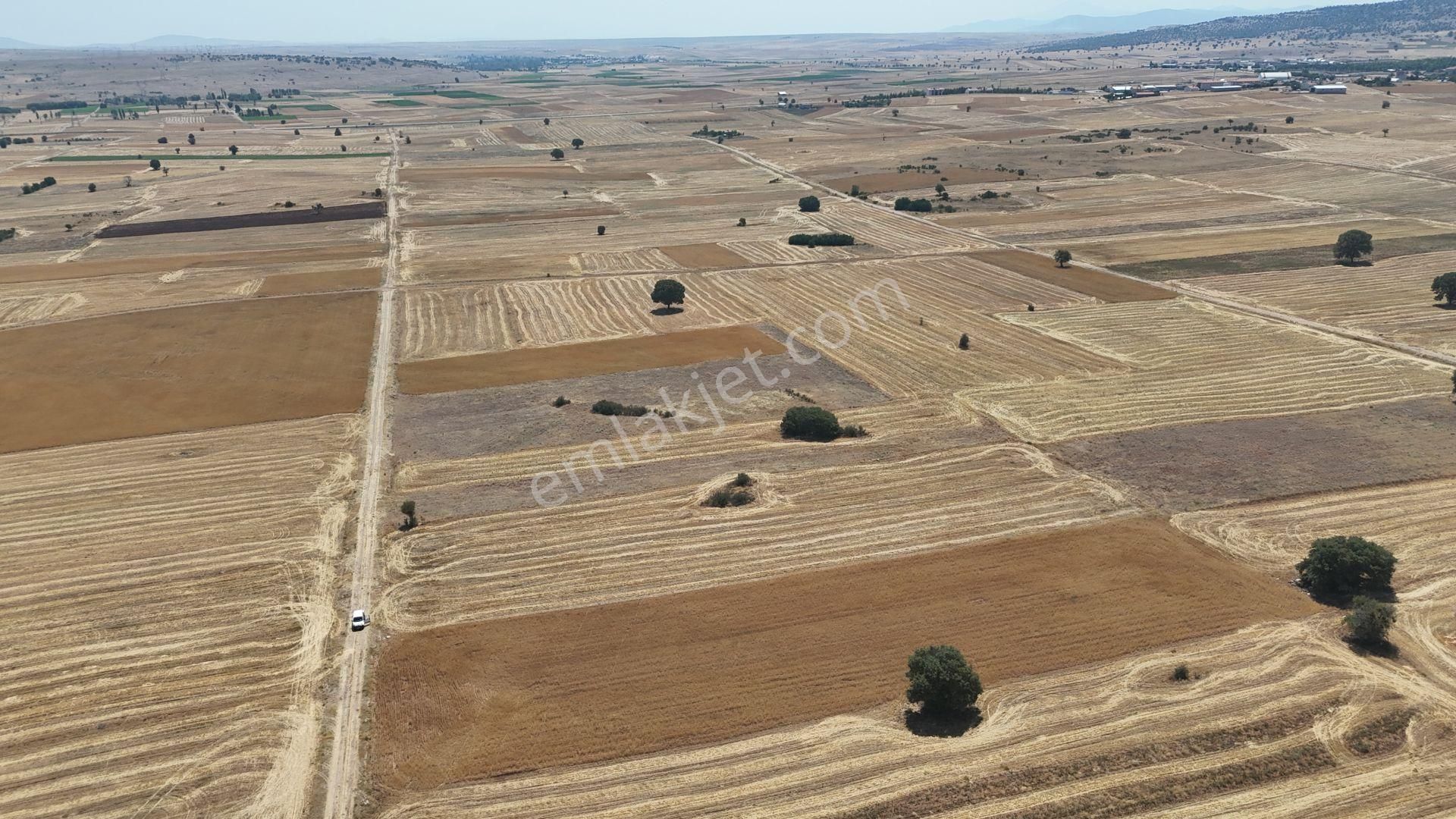 Konya / Akören / Tülce Mahallesinde 3.191 M² Müstakil Tapulu Tarla - Görsel 10
