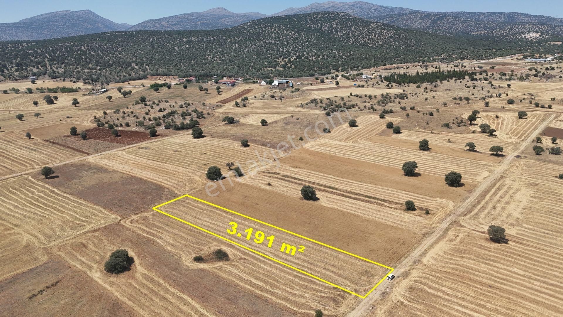 Konya / Akören / Tülce Mahallesinde 3.191 M² Müstakil Tapulu Tarla