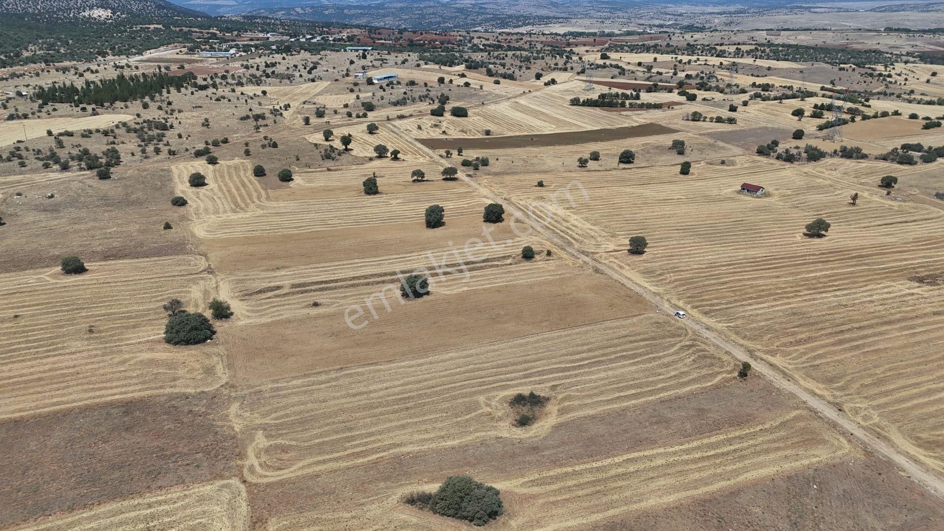 Konya / Akören / Tülce Mahallesinde 3.191 M² Müstakil Tapulu Tarla - Görsel 9