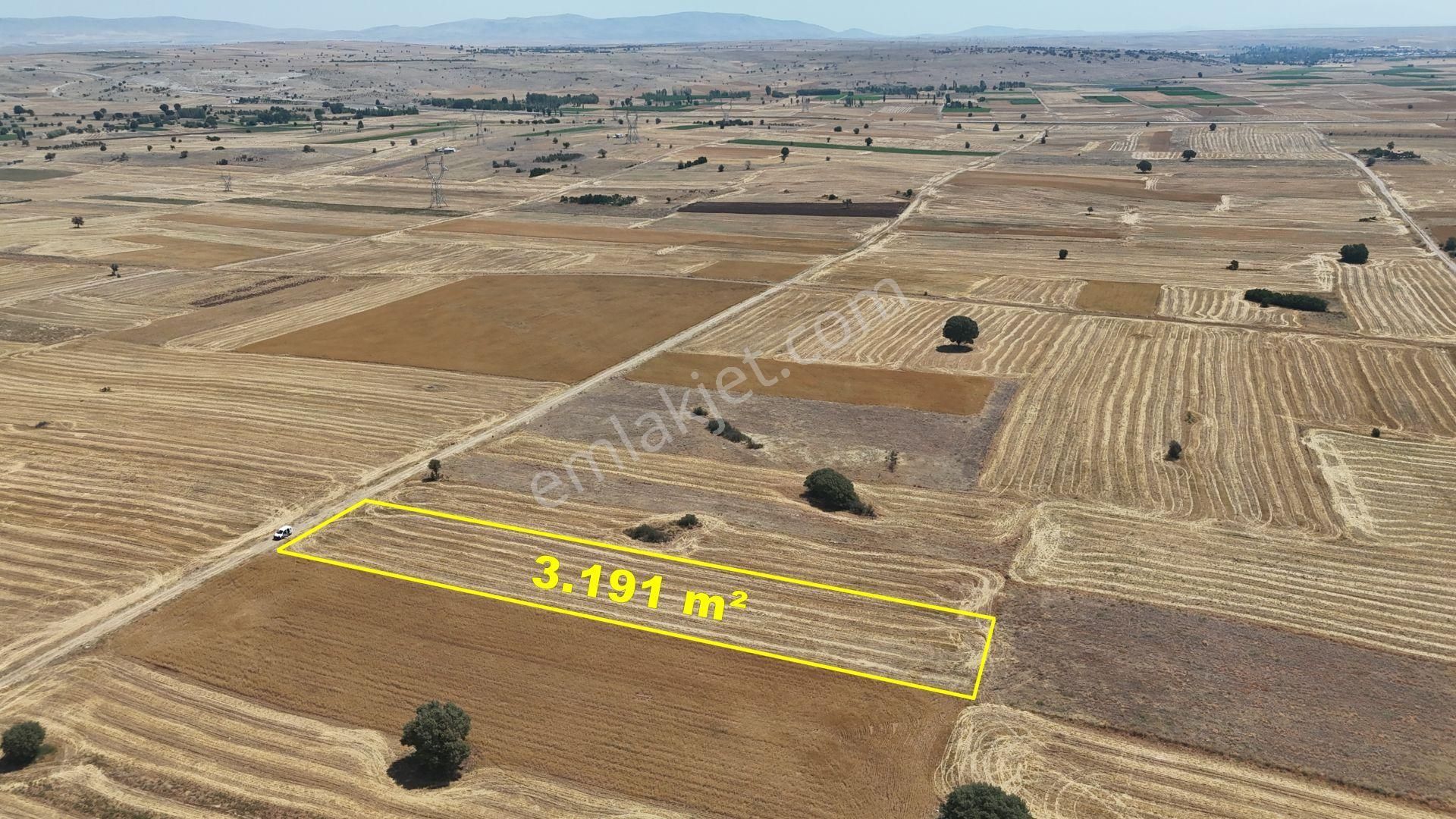Konya / Akören / Tülce Mahallesinde 3.191 M² Müstakil Tapulu Tarla - Görsel 2