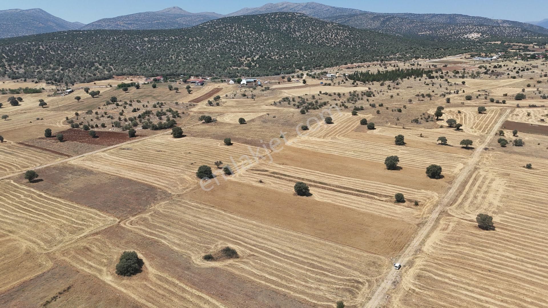 Konya / Akören / Tülce Mahallesinde 3.191 M² Müstakil Tapulu Tarla - Görsel 8