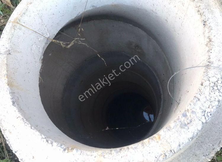 Güzelbahçe Payamlı’da 3.400 M² Satılık Tarla - Görsel 3