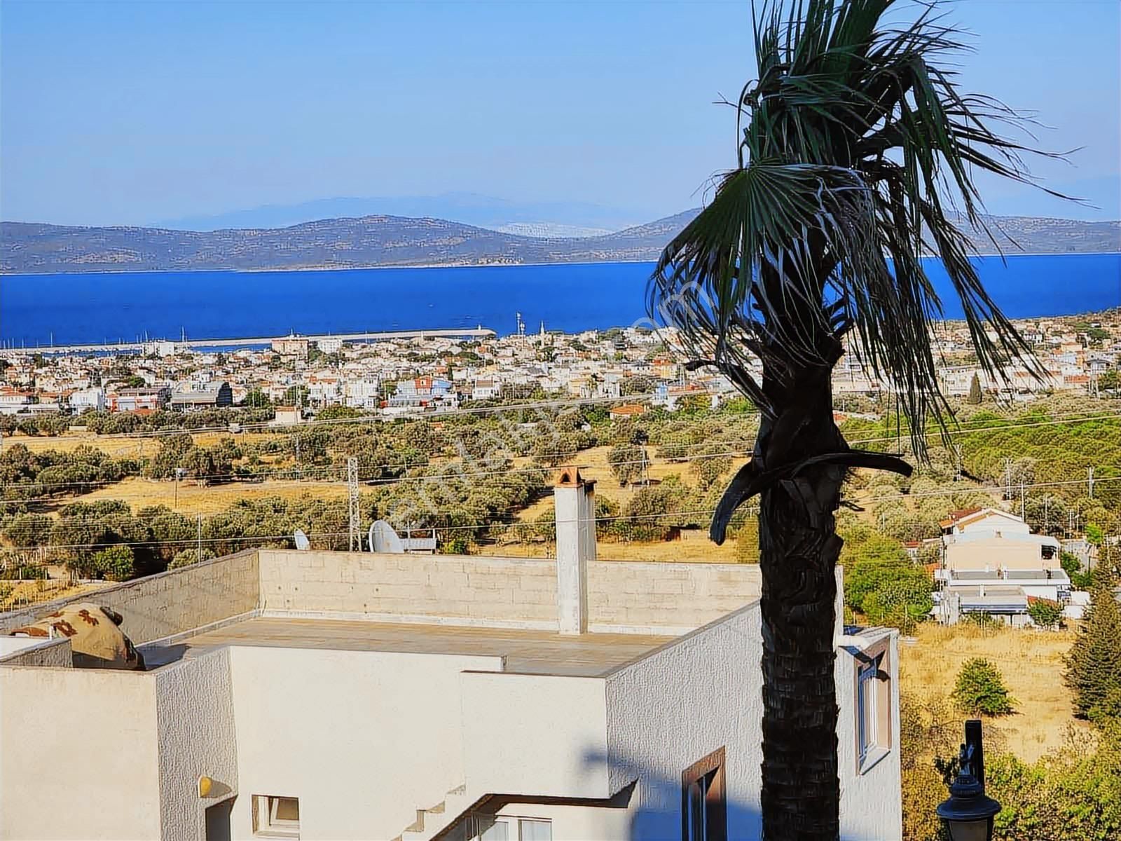 Mordoğan Emlaktan Yerleşim Yeri İçerisinde 2600 M2 Satılık Tarla - Görsel 11